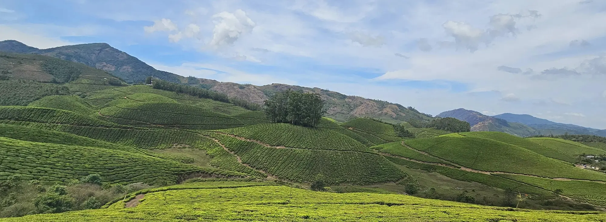 Marthoma Retreat Home, Munnar