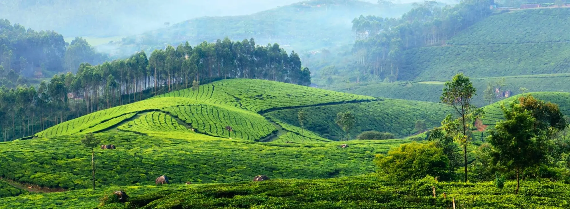 Marthoma Retreat Home, Munnar