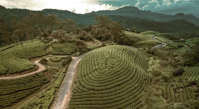 Marthoma Retreat Home, Munnar