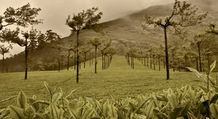 Marthoma Retreat Home, Munnar