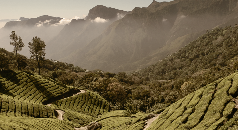 Marthoma Retreat Home, Munnar